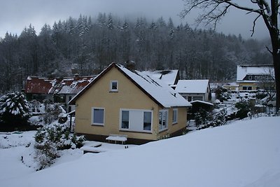 Vakantiehuis Ontspannende vakantie Bad Lauterberg im Harz