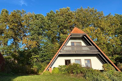 Finnhäuser am Vogelpark - Haus