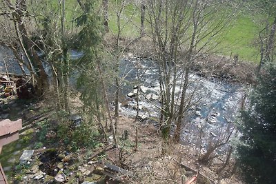 Ferieninsel an der Dreisam