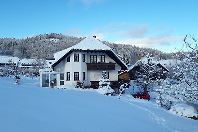 Vakantieappartement Gezinsvakantie Dachsberg