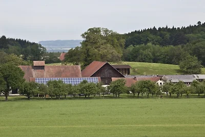 Vakantieappartement Gezinsvakantie Schlier
