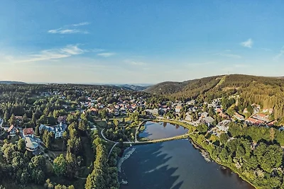 Vakantieappartement Gezinsvakantie Goslar