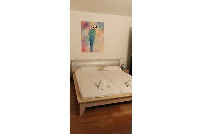 Casa-Gina