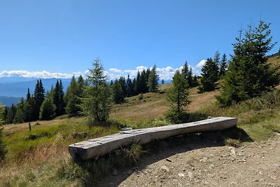 Appartamento Vacanza con famiglia Bad Kleinkirchheim