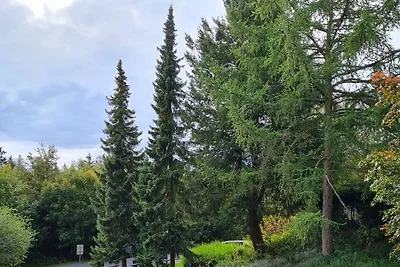 Ferienwohnung 3/ 312