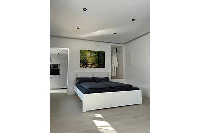 RheinSchatz Apartments 3
