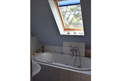 "Ostseefische"