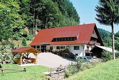 Vakantieappartement Gezinsvakantie Oberharmersbach
