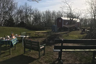 Zirkuswagen auf dem Lämmerhof