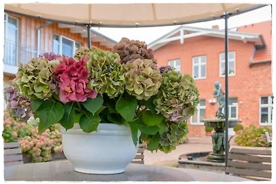 Herman's Hof Appartement Nr. 7