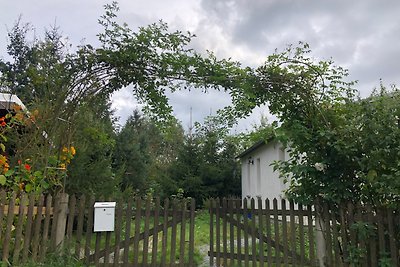 Tiny House - Auszeit im Wald am