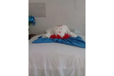 Hostal Caramelo - La Negra y Elier