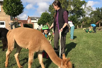 Vakantiehuis Ontspannende vakantie Burg auf Fehmarn