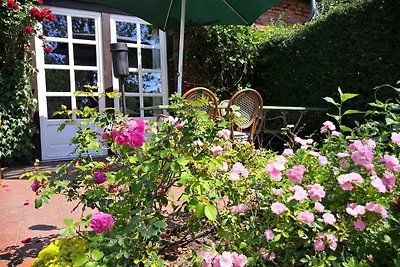 Ferienhof Trapp - Appartement