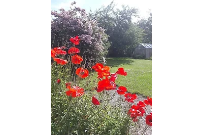 Ferienwohnung Paulsen