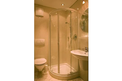 Viola in Haus Admont