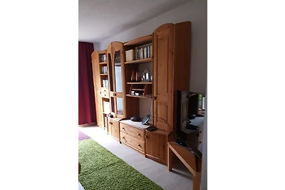 Ferienhaus am Geiseltalsee