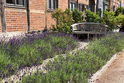 Vakantieappartement Gezinsvakantie Dannenberg