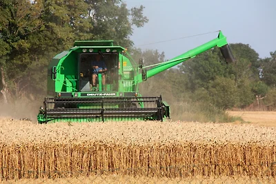 Ferienwohnung "Möwennest"