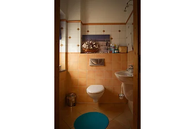 Ferienhaus MountFrosch mit Sauna