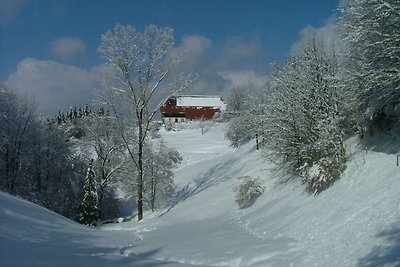 Vakantieappartement Gezinsvakantie Horben