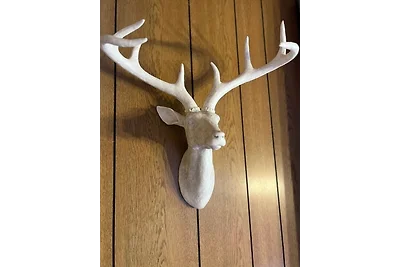 Chalet BERGliebe Willingen- Nähe