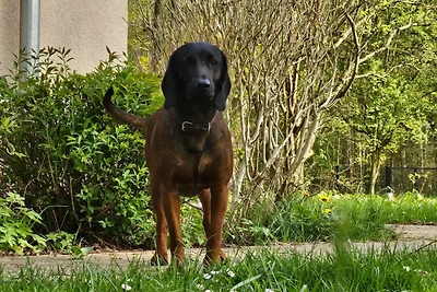 Ferienhaus Anton & Charlotte