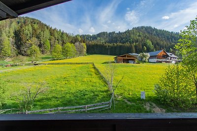 Vakantieappartement Gezinsvakantie Schladming