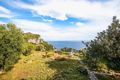 Casa vacanze Vacanza di relax Camerota