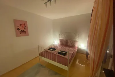 Mainz Apartment near central