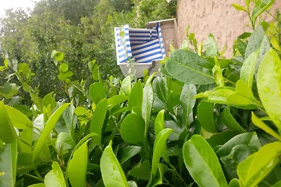 Ferienhof Block - Ferienwohnung 2