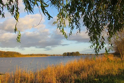 Ferienwohnung Müritzkoje an der