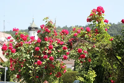 Ferienwohnung Riedblick Süd-Ost