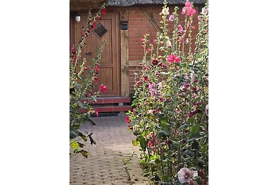 Appartement Vacances avec la famille Neukirchen in Ostholstein