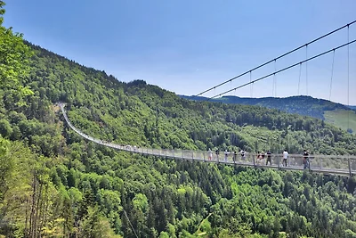 Fewo 12 - Residenz Schauinsland