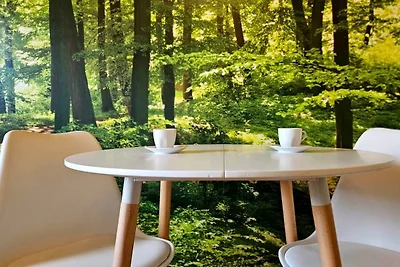 3611: HAUS HABRUCK / Top 1 C