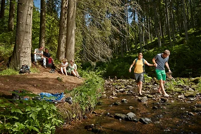 Drei Tannen - Wohnung 04 -