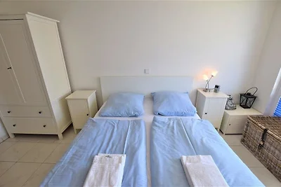 Teckhaus 2,6 Strandläufer H 5