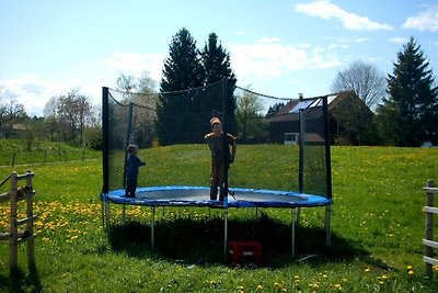 Ferienhof Fink - Ferienwohnung