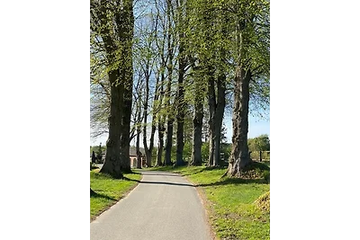 Gut Büchenau - Ferienwohnung