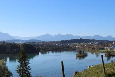 Ferienhaus Nr. 41, Kategorie