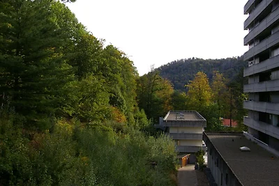 Appartamento Vacanza con famiglia Bad Harzburg