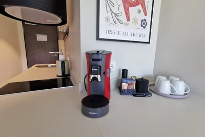Deluxe Apartment 201