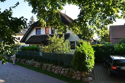 Ferienhaus "Strandflieder" in Gross