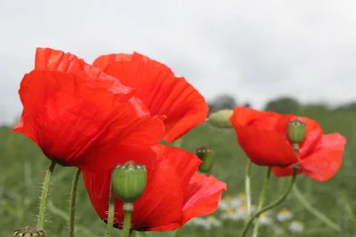 Haus Berlin Wohnung 74