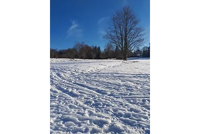 Ferienwohnung Sonnenschein mit