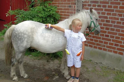 Vakantieappartement Gezinsvakantie Burg auf Fehmarn