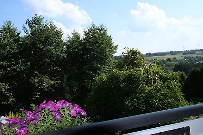 Holiday flat family holiday Driedorf