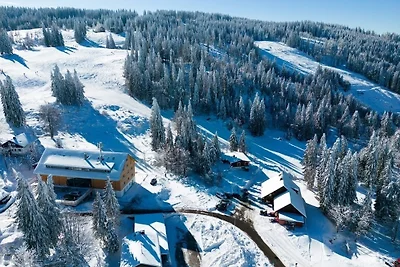 Vakantieappartement Gezinsvakantie Feldberg