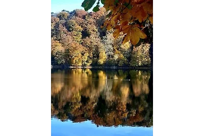 Vakantiehuis Ontspannende vakantie Udler